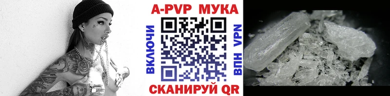 Купить закладку Моршанск ГАШ СК Галлюциногенные грибы Конопля Бутират МЕФ Экстази COCAIN