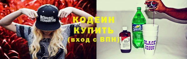 мяу мяу кристалл Переславль-Залесский