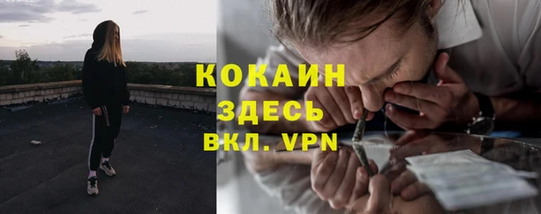 гашик Богданович