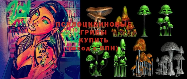 мяу мяу кристалл Переславль-Залесский