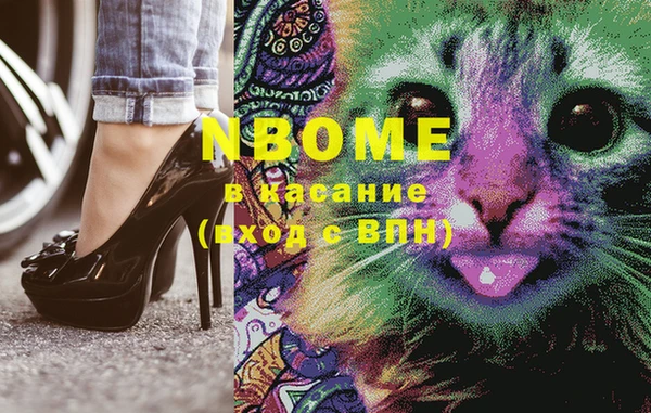 гашик Богданович