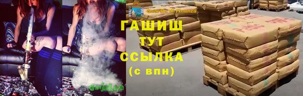 гашик Богданович